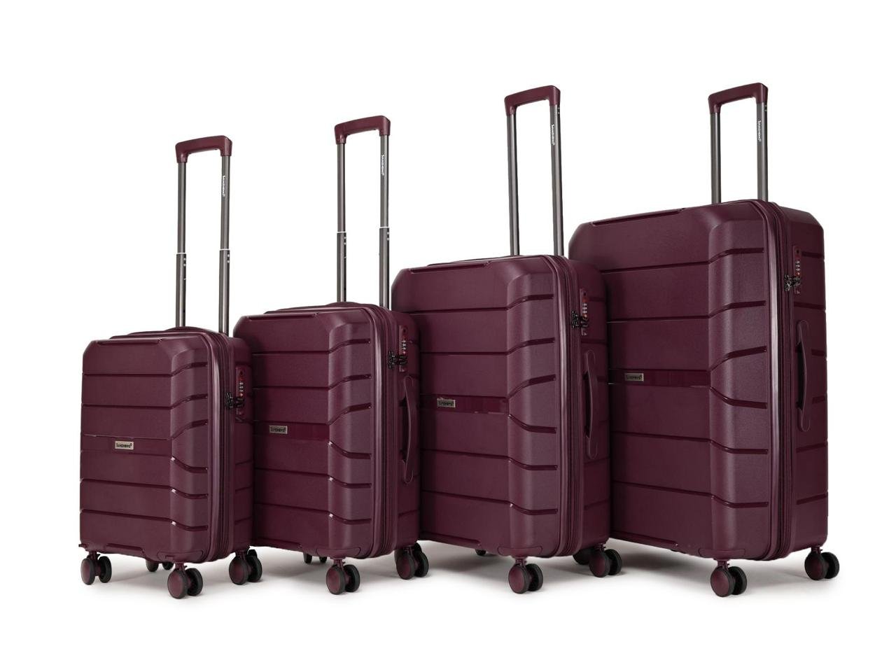 PHOTO-2026-01-14-21-10-24