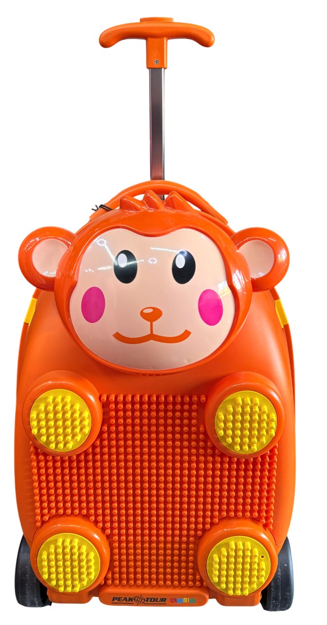 IMG-20260205-WA0064-Photoroom