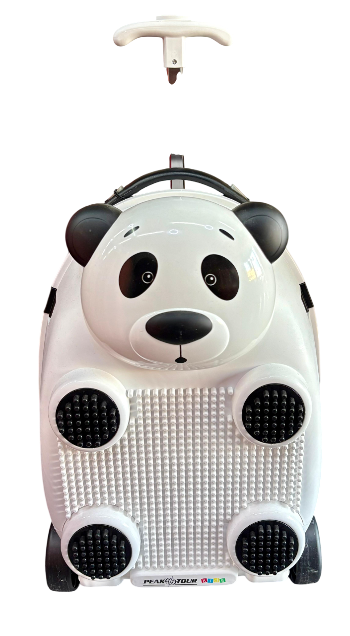 IMG-20260205-WA0066-Photoroom